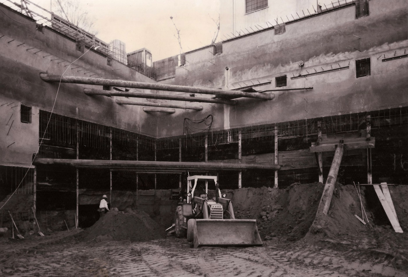 Central Park — image 4