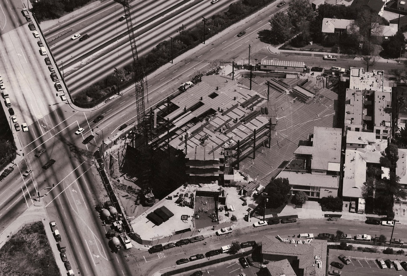 Central Park — image 5