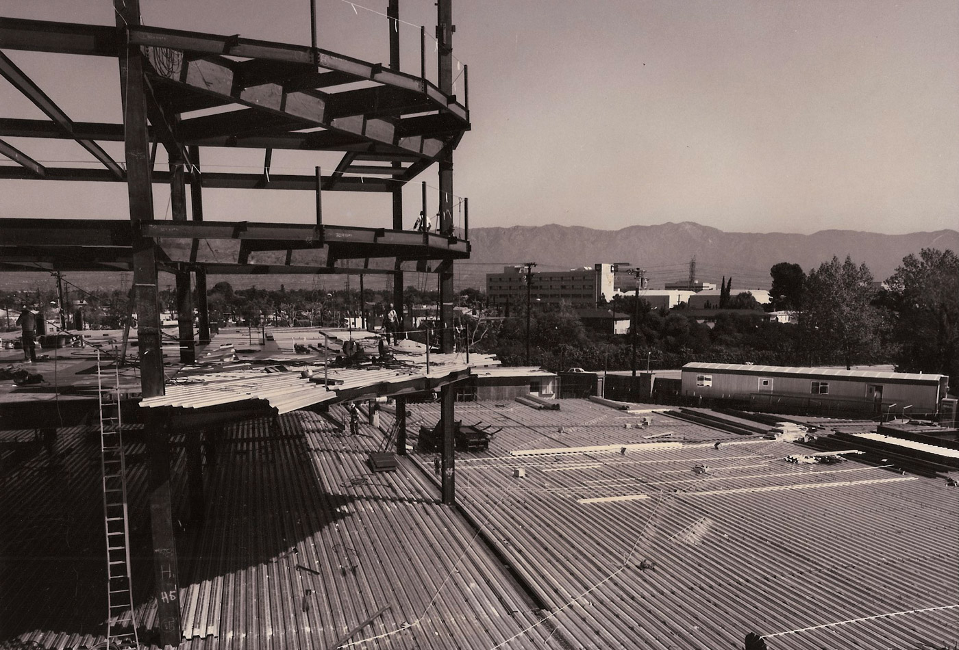 Central Park — image 7