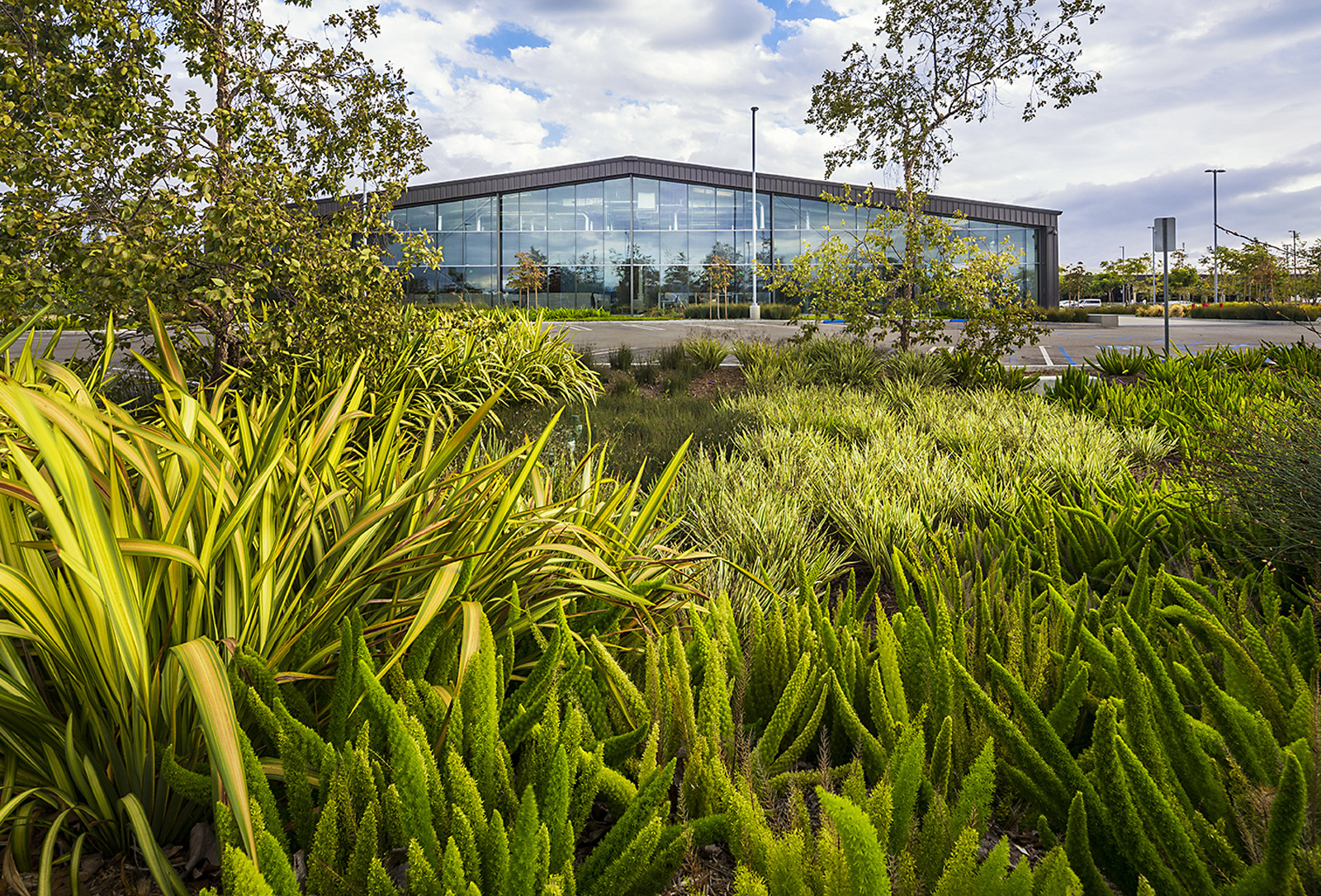 The Reserve — image 23